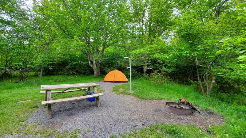 Tent pad, picnic table and fire ring at Red Creek Campground; campground context, not facilities at the swimming pools