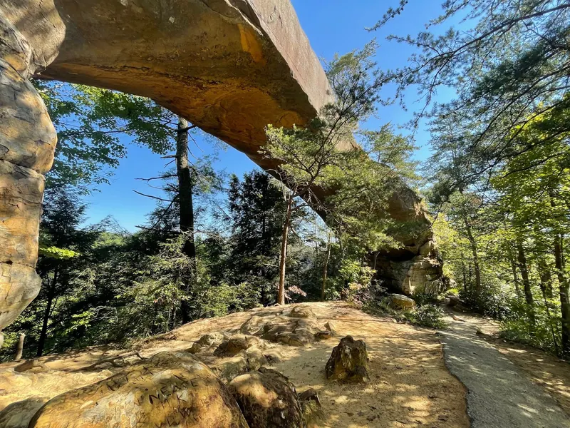 Sandstone arch above a wooded rocky path in the saved Red River Gorge Geological Area collection