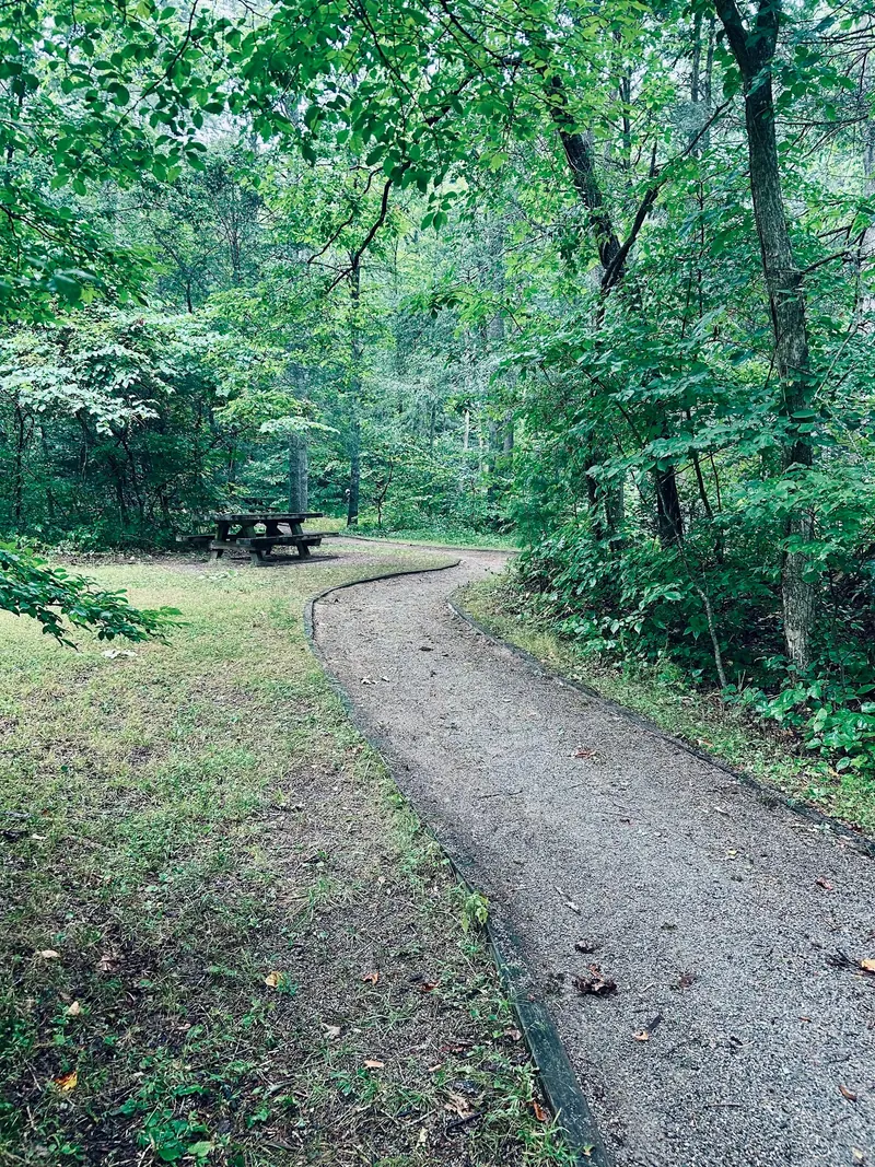 Curving path beside a picnic table in the woods at Roaring Run