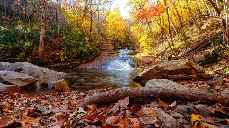 Cascade and creek pool surrounded by autumn leaves at Roaring Run