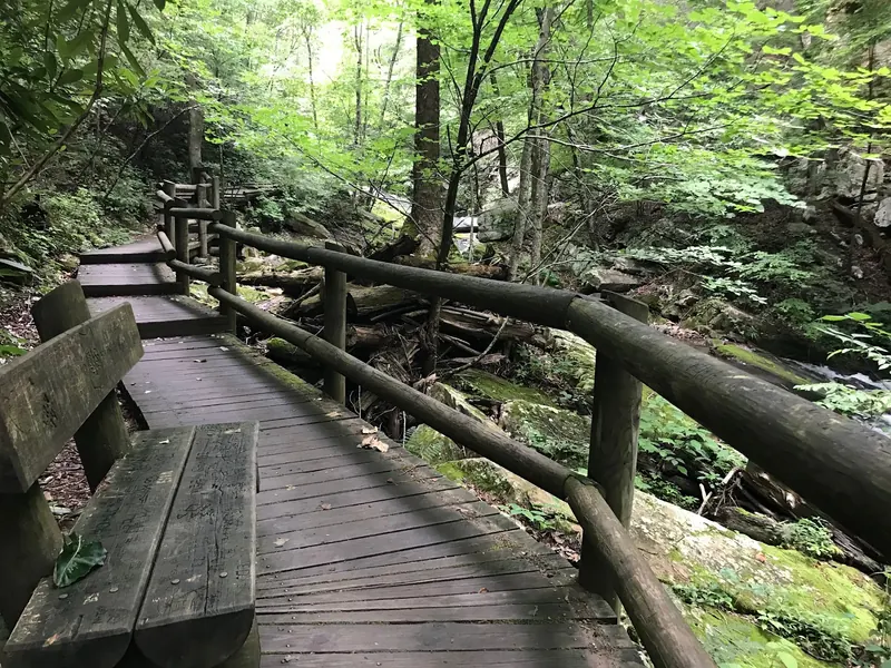 Wooden walkway with railings and a bench beside the wooded creek at Roaring Run