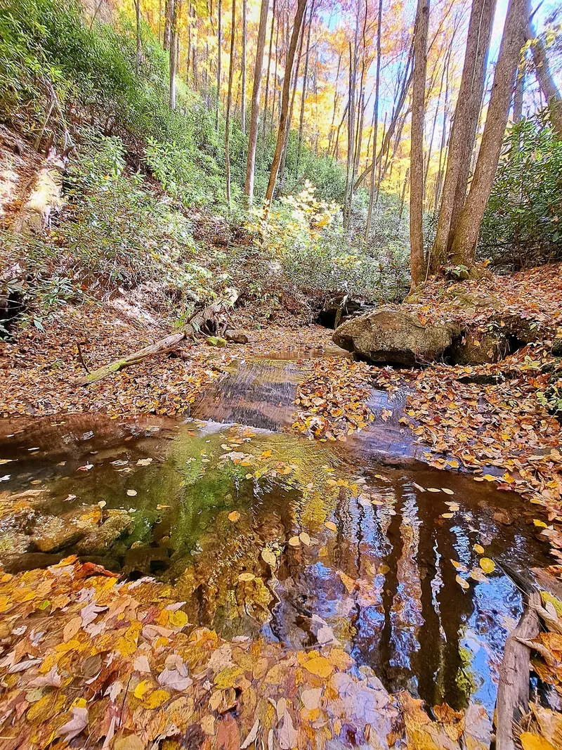 Autumn leaves around a low creek cascade in the Rock Creek area photo collection