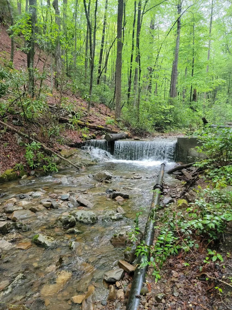 Low constructed weir and pipe beside a wooded stream in the Rock Creek collection