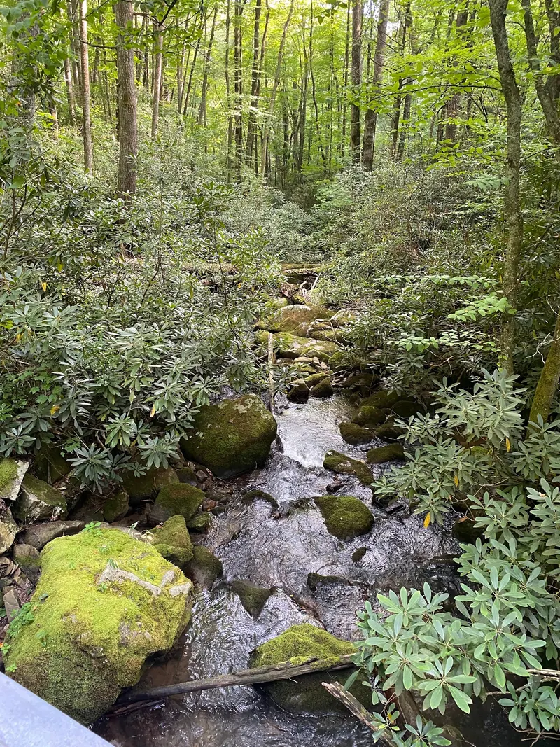 Rocky woodland creek with mossy boulders in the Rock Creek Recreation Area collection