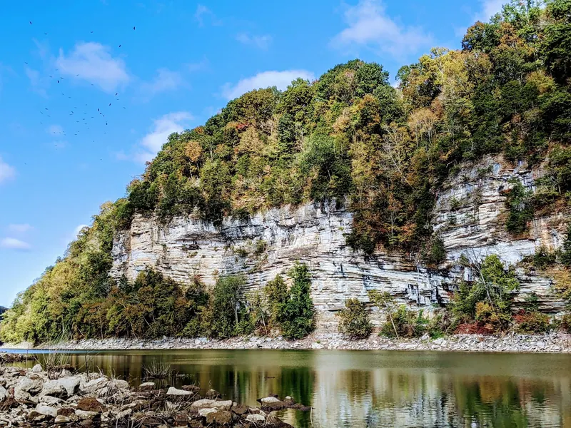 Wooded limestone bluffs reflected in the river at Rock Island State Park; this scenery view does not identify the Swim Beach