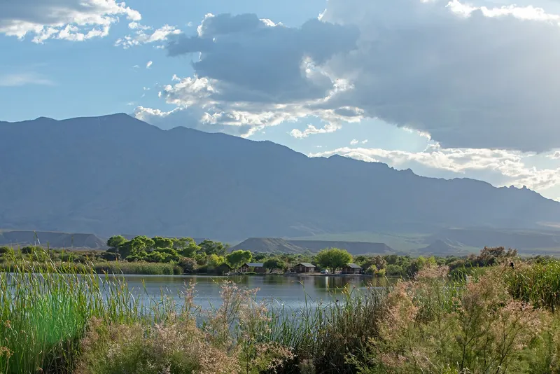Reeds along Roper Lake with cabins and a mountain backdrop