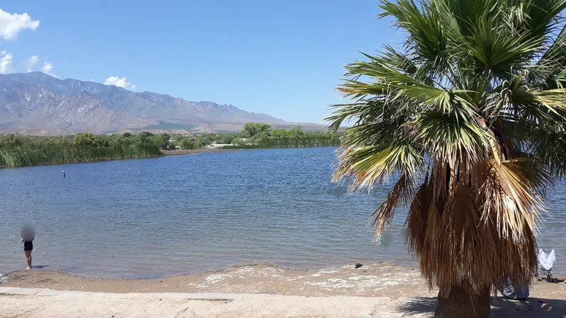 Palm tree beside Roper Lake's sandy shoreline with reeds and mountains across the water