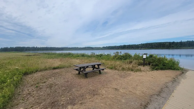 Picnic table, shoreline plants and a wooden walkway edge beside water in the Roque Bluffs collection; historical facilities context, not current availability confirmation