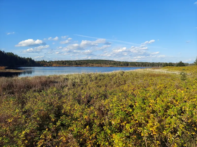 Pond-side grasses, low fencing and wooded water horizon in the Roque Bluffs collection; historical landscape, not a verified water entrance