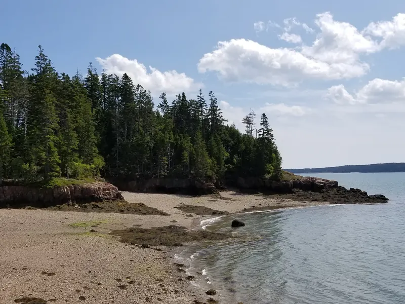 Pebble shoreline and wooded rocky point in the Roque Bluffs State Park collection; historical coastal scenery, not a current swimming-condition report