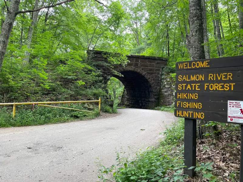 Salmon River State Forest welcome sign beside a wooded road