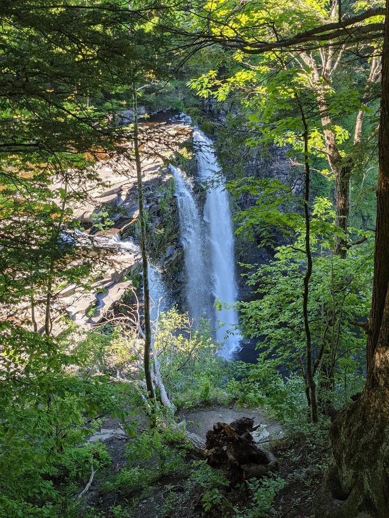 Salmon River Falls seen across a wooded gorge