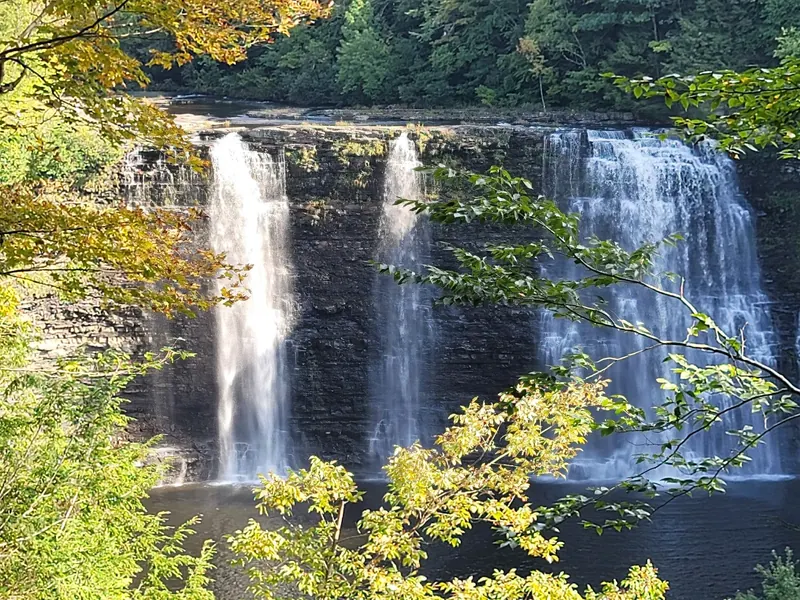 Salmon River Falls framed by autumn branches and layered rock