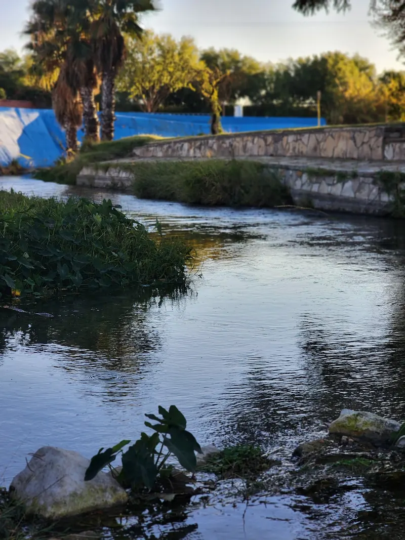 San Felipe creek-corridor water beside stone banks and palm trees in Del Rio