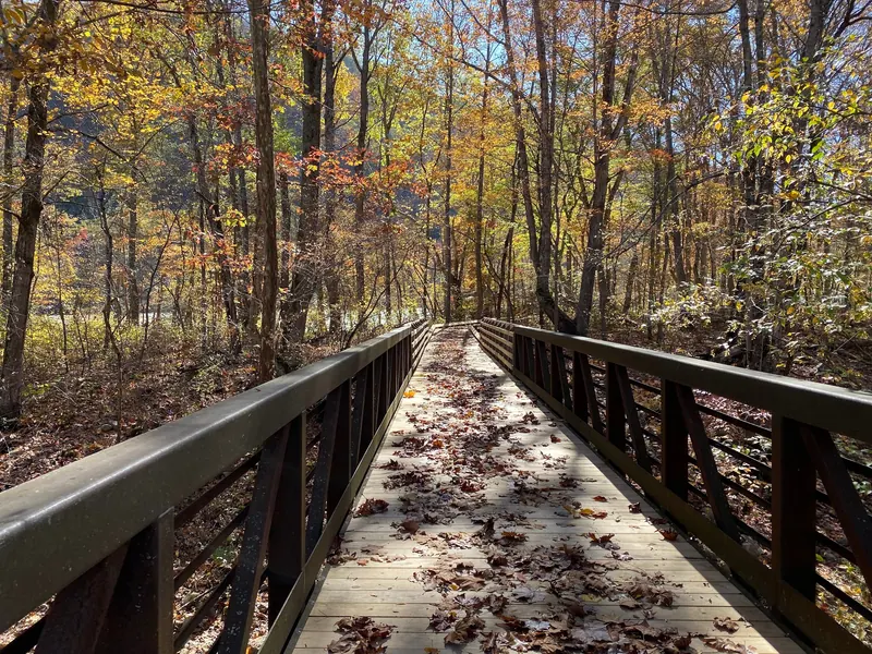 Leaf-covered boardwalk between railings and autumn trees in the Sandstone Falls collection, not a current condition report