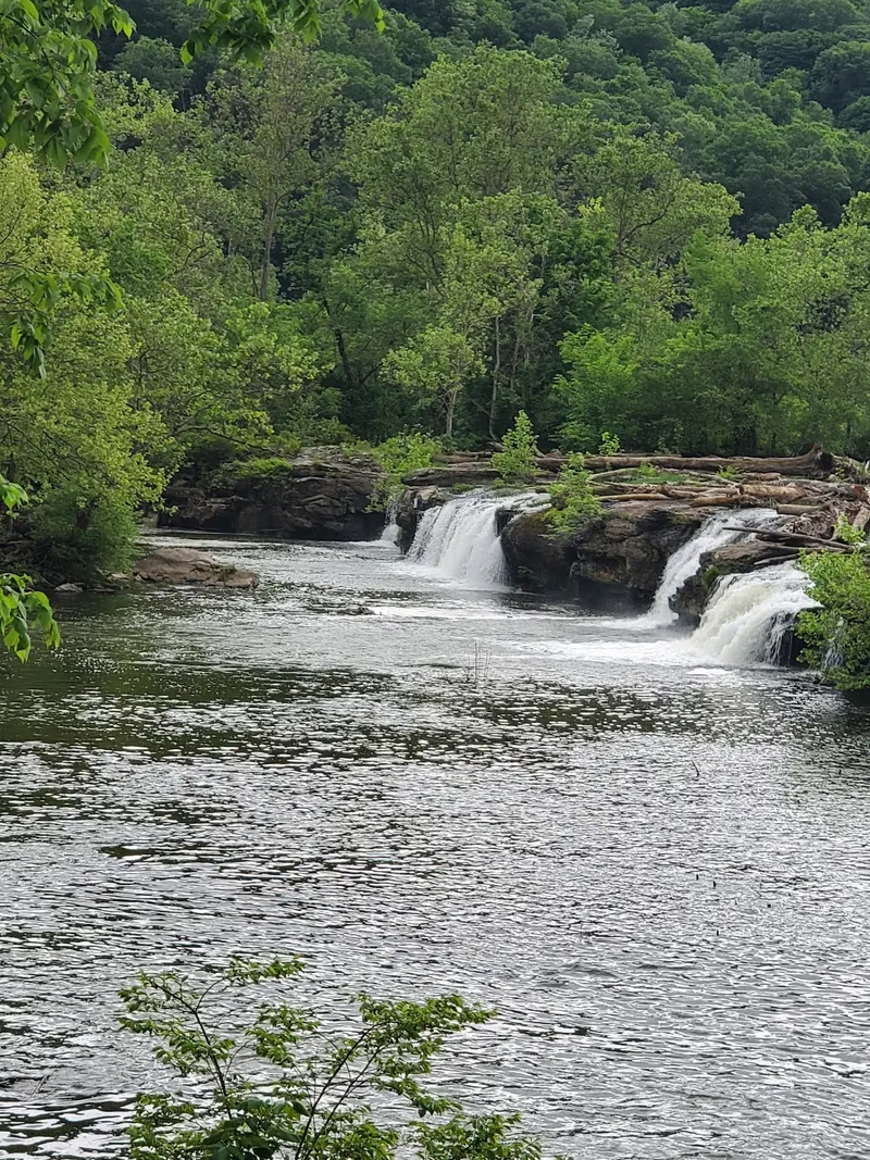 Cascades beneath wooded banks at Sandstone Falls on the New River