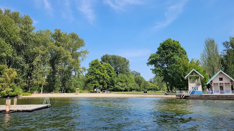 Newcastle Beach Park shoreline, dock, playground and leafy trees viewed across Lake Washington