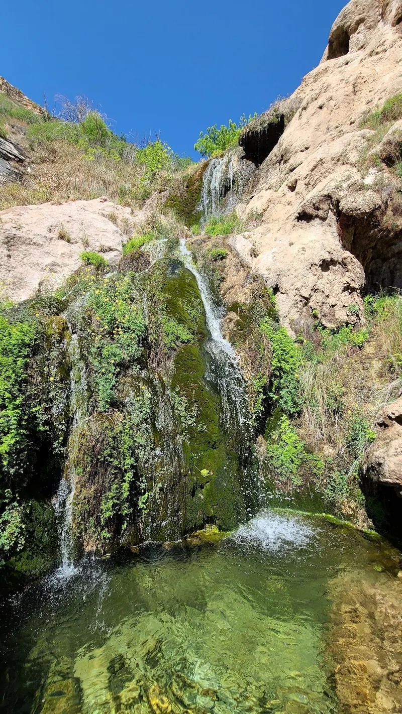 Close view of water cascading over green vegetation and textured rock at Sitting Bull Falls