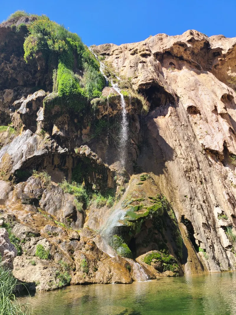 Sitting Bull Falls cascade over a vegetation-covered rock face into a pool
