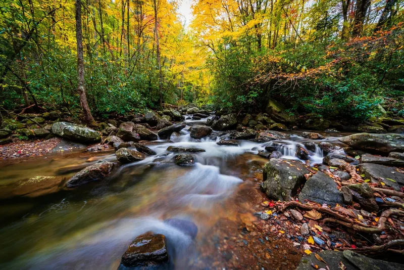 Historical autumn stream and boulders beneath yellow foliage in the South Mountains State Park collection