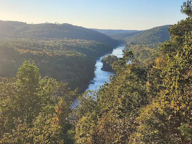 Elevated view of the Flint River between wooded hills in the Sprewell Bluff Park collection