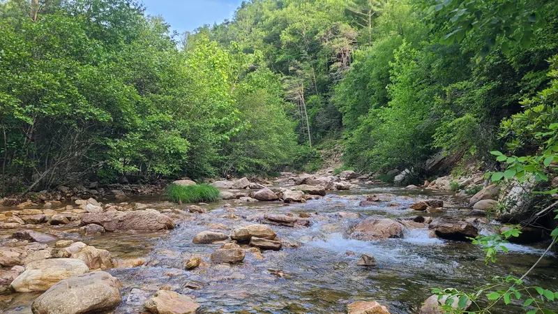 Water flowing around exposed rocks along the wooded St. Mary's River