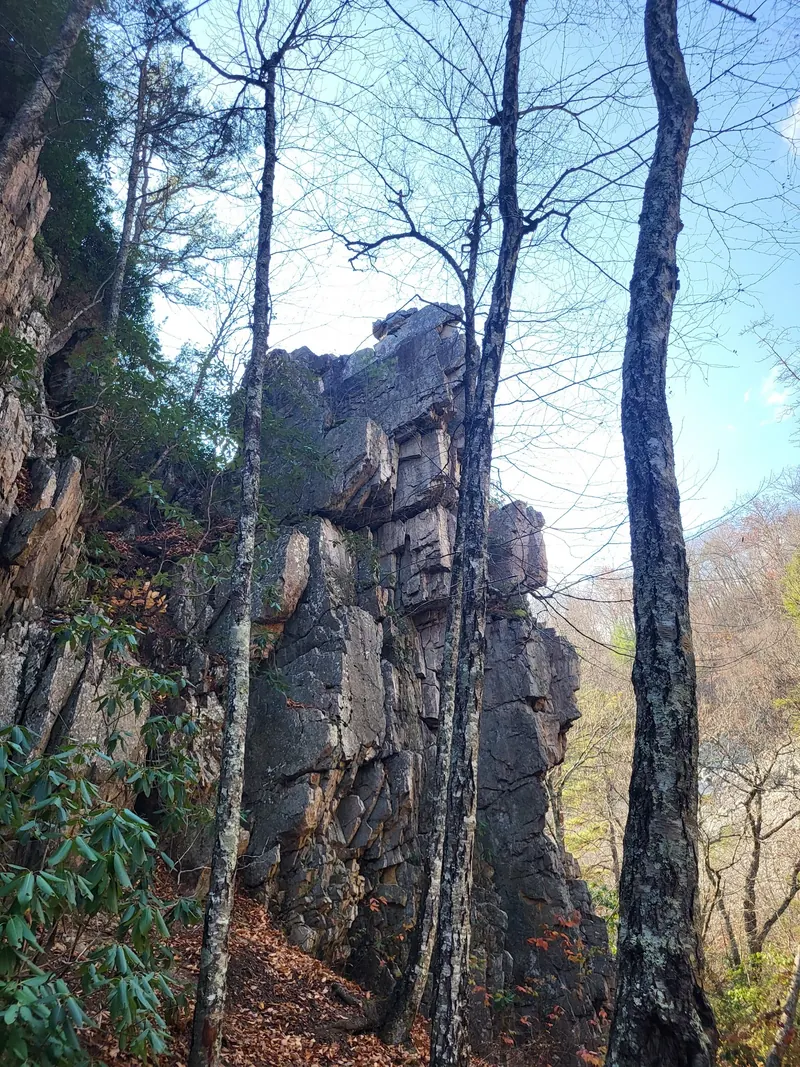 Layered rock wall among bare trees in the St. Marys Falls trail collection, shown as terrain context rather than a climbing route