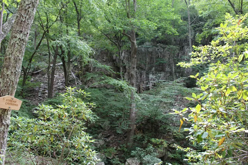 Stream crossing sign beside trees and a rock wall in Saint Mary's Wilderness