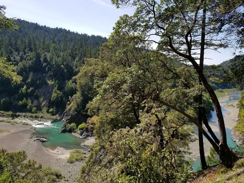 South Fork Eel River bend and gravel banks below forested slopes in the Standish-Hickey park collection