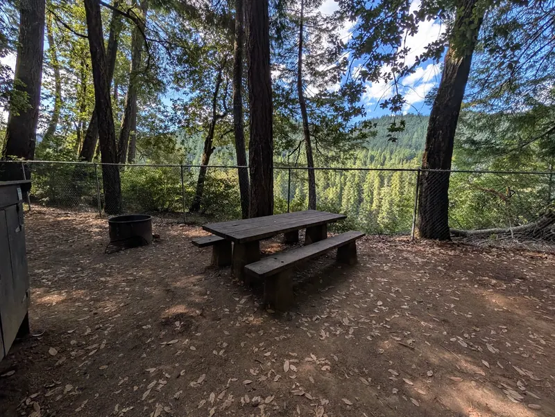 Wooden campsite picnic table and fire ring beneath trees in the Standish-Hickey park collection