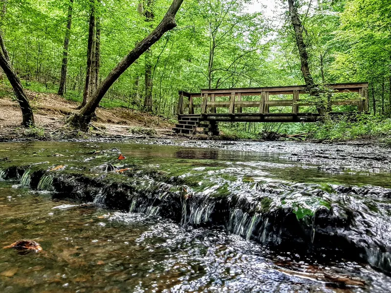Wooden footbridge above a rocky creek on the Stillhouse Hollow Falls trail
