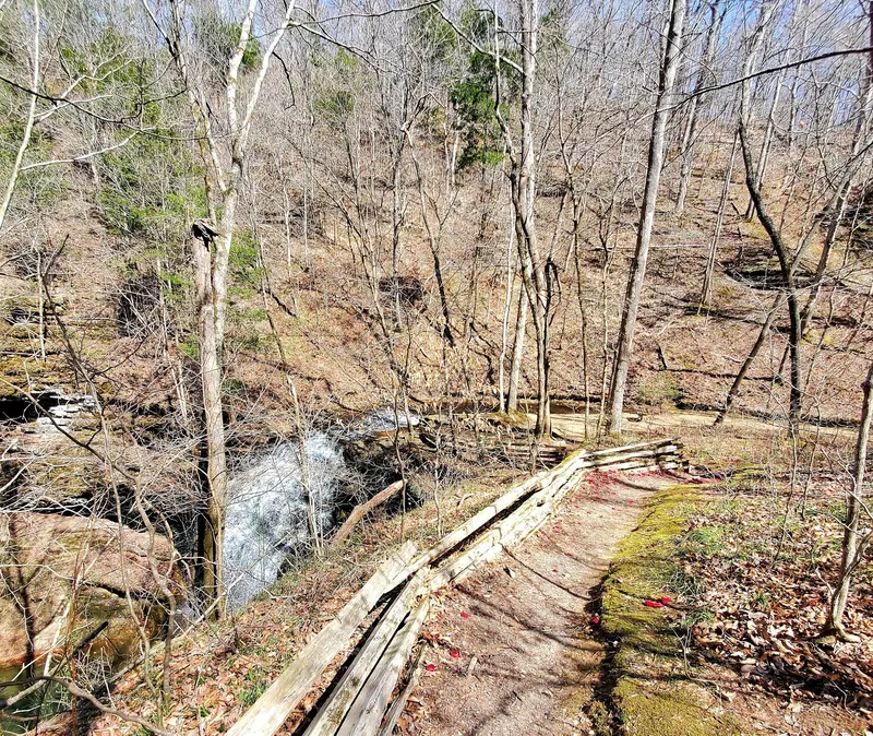 Fenced overlook path beside Stillhouse Hollow Falls among leafless trees