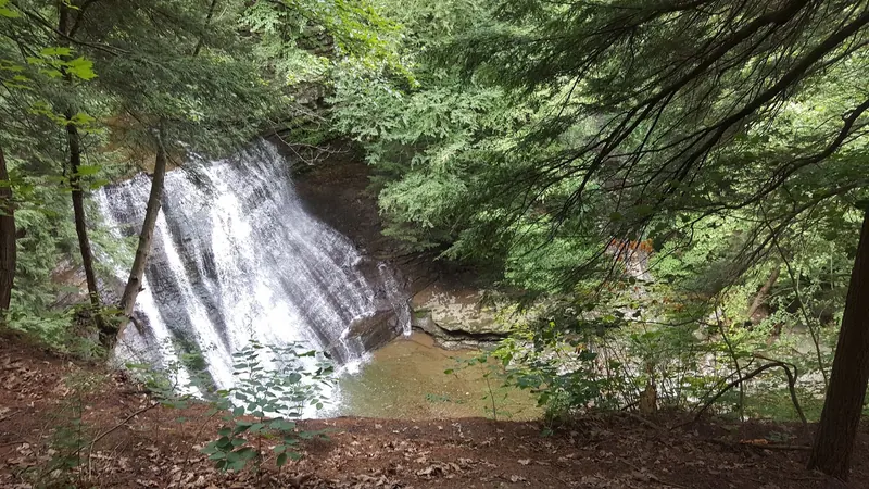 Wooded waterfall and rock basin in the Stony Brook State Park collection; scenic context where gorge swimming and wading are prohibited
