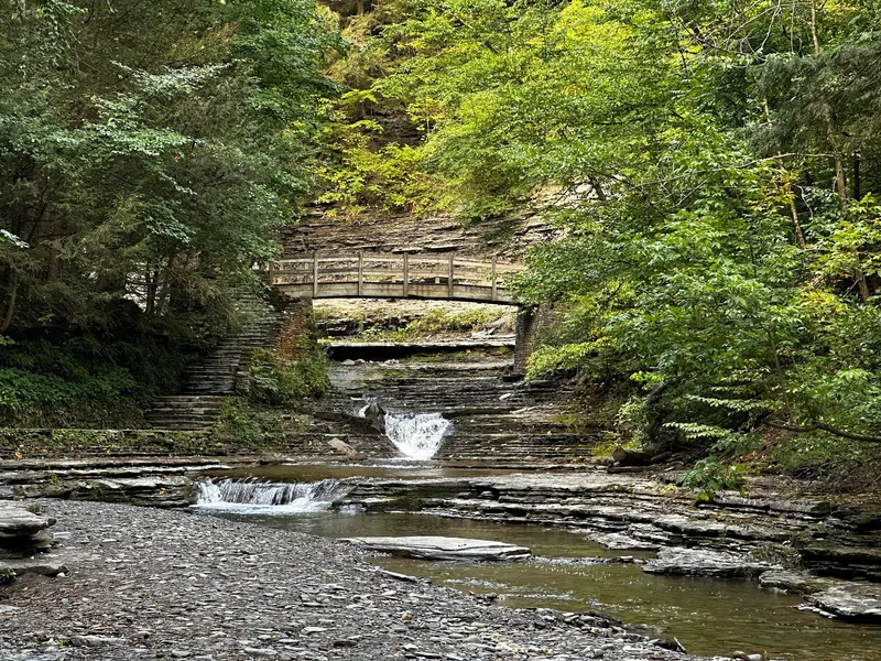 Stone stairs and a wooden footbridge over layered creek ledges in the Stony Brook State Park collection; historical hiking context, not a swimming entrance