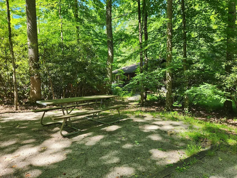 Picnic table beneath leafy trees beside a wooded building in the Stuart Recreation Area photo collection; day-use context, not water entry