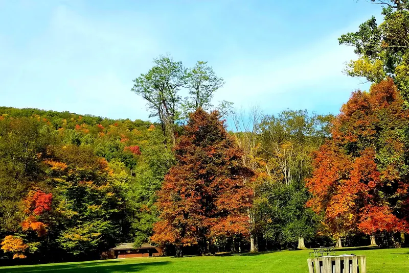 Autumn trees, open grass and picnic tables near a recreation building in the Stuart photo collection; historical grounds view, not current opening evidence