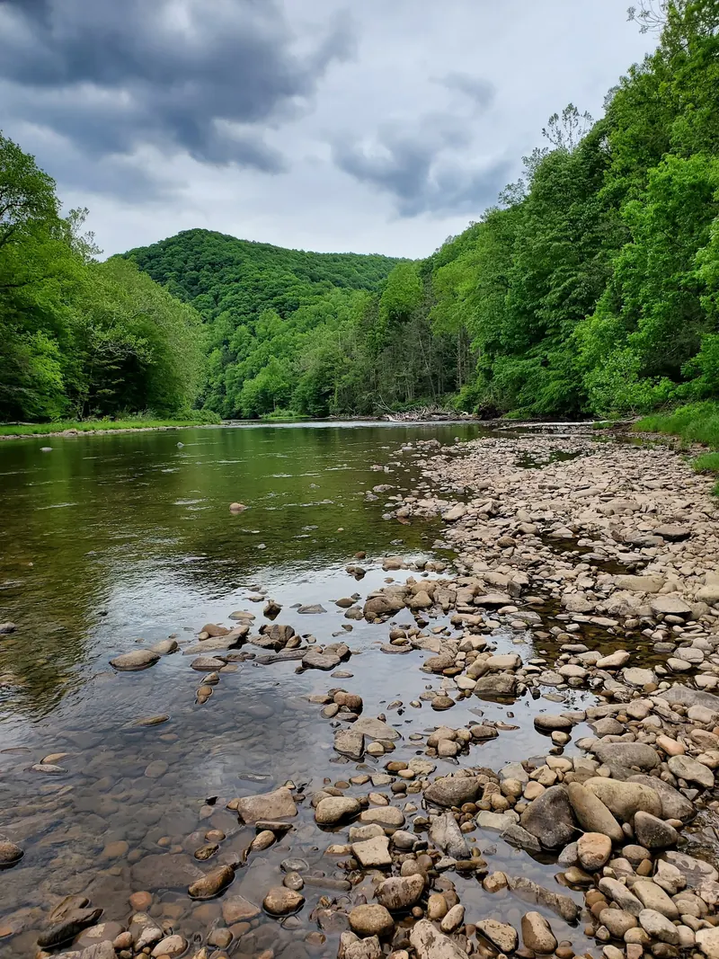 Rocky riverbank and wooded hills at Stuart Recreation Area; scenery rather than a verified swimming entry