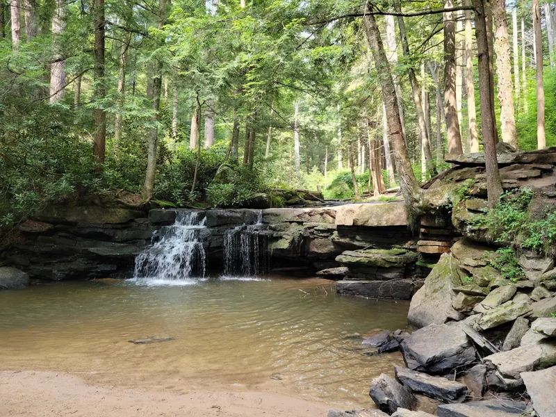 Small woodland cascade over rock at Swallow Falls State Park