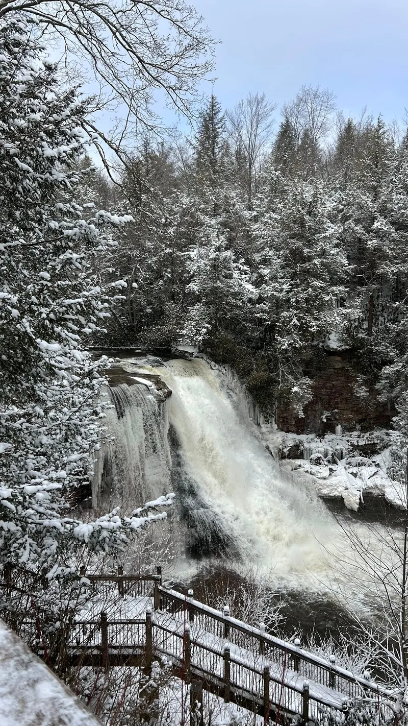 Snow-covered waterfall scene beside a railed viewpoint at Swallow Falls State Park