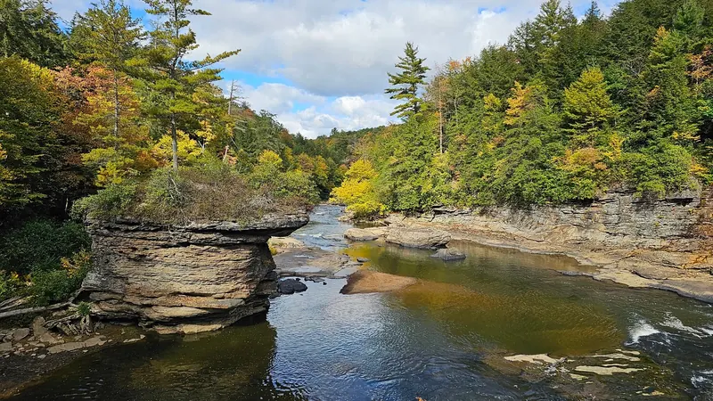 Autumn trees above river ledges at Swallow Falls State Park