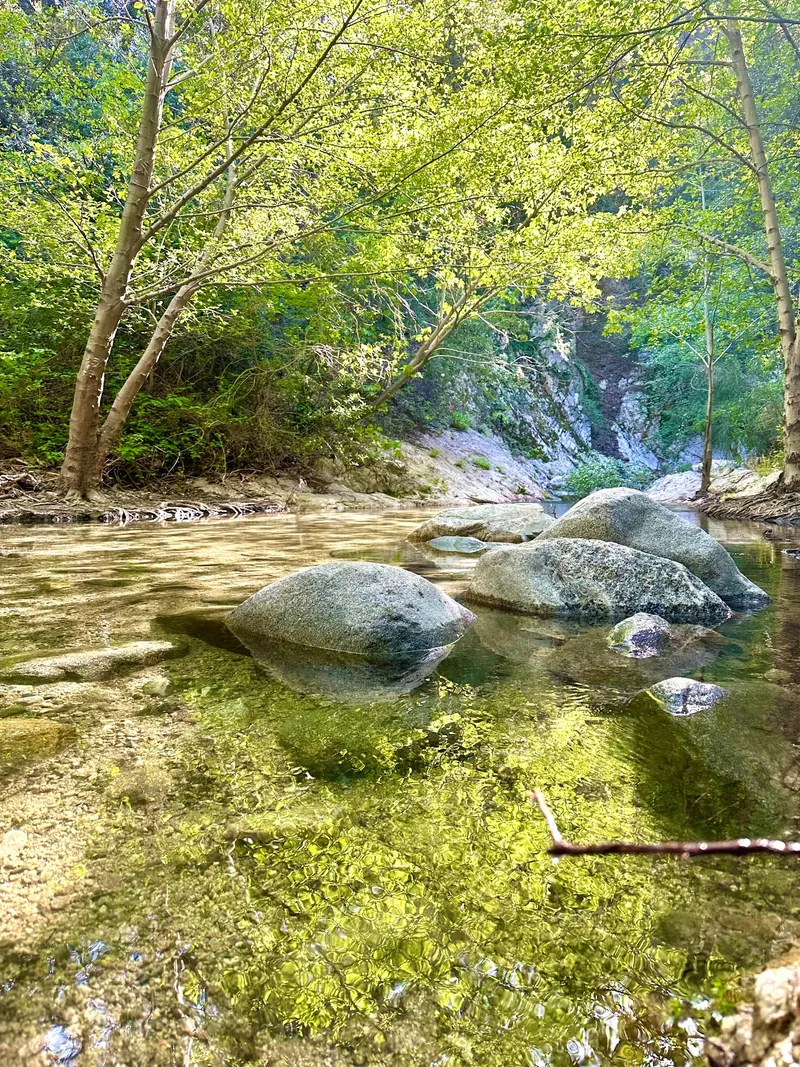 Sunlit creek water and large boulders beneath leafy trees in the Switzer canyon setting