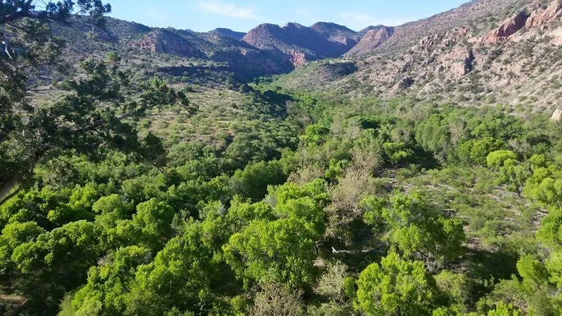 Wooded lower Sycamore Canyon below rocky slopes