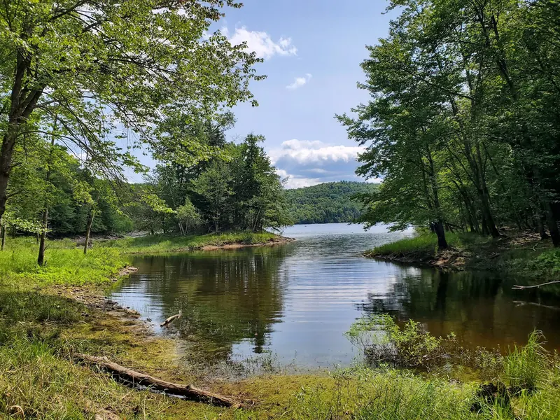 Wooded cove with a narrow shoreline and open water in The Ledges photo collection