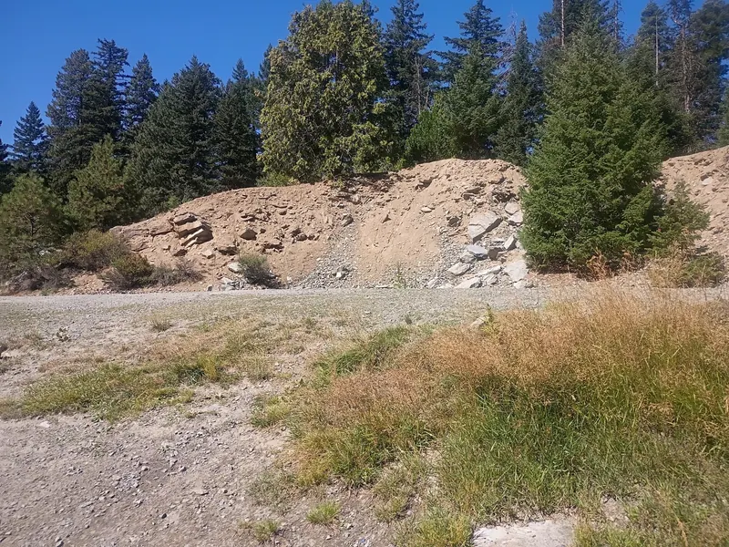 Exposed rocky bank and dry grass surrounded by conifers in the Rock Quarry photo collection near Ashland