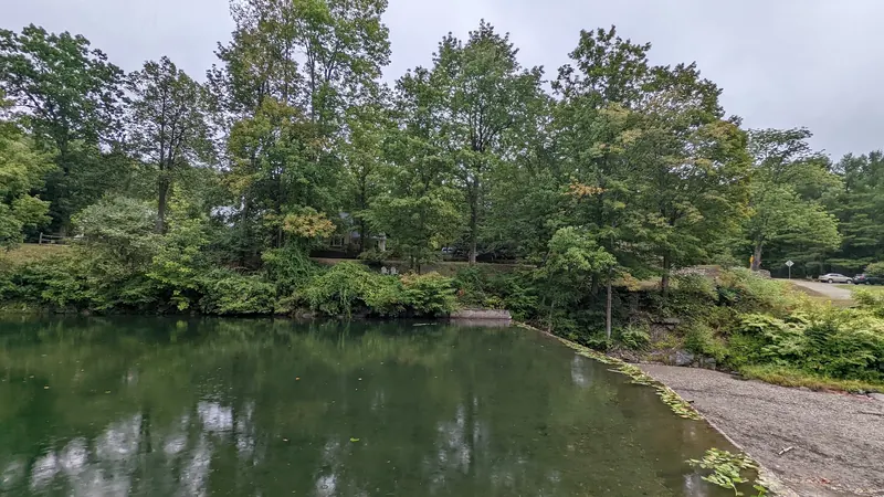 Pool above the timber crib dam with wooded banks and a gravel foreground in the Green River collection