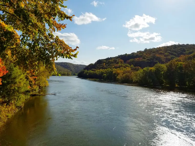 Wooded waterfront near Tionesta with autumn foliage, shown as regional scenery