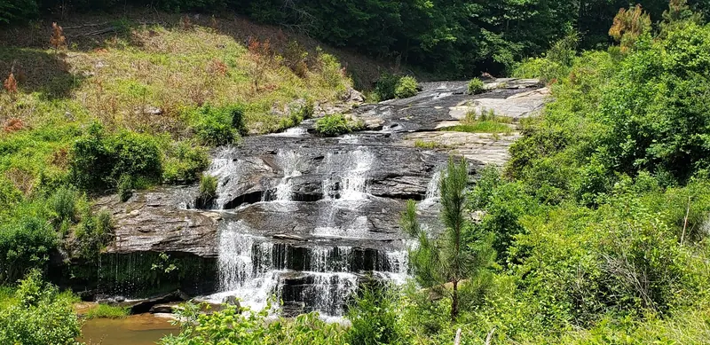 Wider view of the tiered Todd Creek Falls cascade and green vegetation