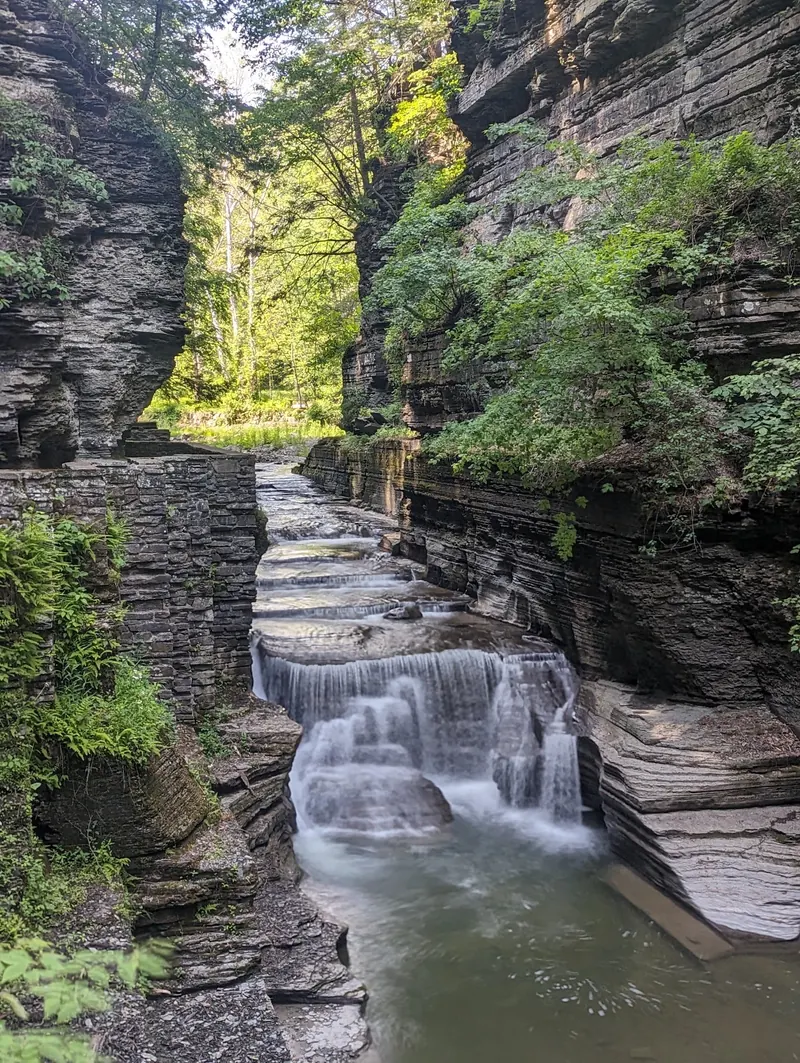 Cascades between layered gorge walls at Robert H. Treman State Park, outside the designated swimming area