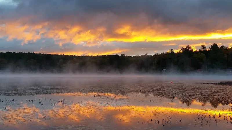 Mist and colorful sky reflected over Trout Lake beside a wooded shoreline