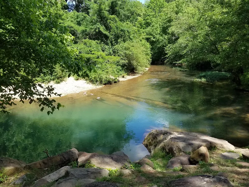 Green creek pool beside a gravel bank and woodland in the Turkey Creek Nature Preserve collection